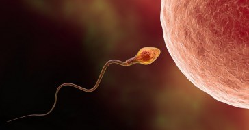 Εκδήλωση με θέμα την ανδρική και γυναικεία υπογονιμότητα