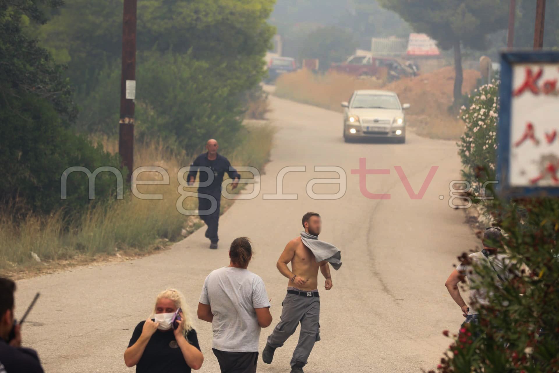 φωτιά πυρκαγιά Κινέττα Γεράνεια