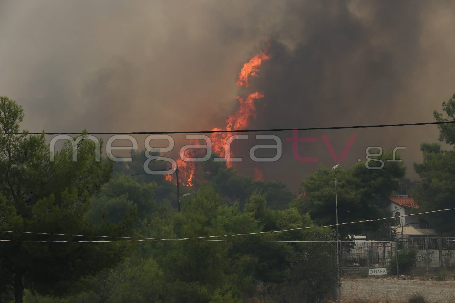 φωτιά πυρκαγιά Κινέττα Γεράνεια