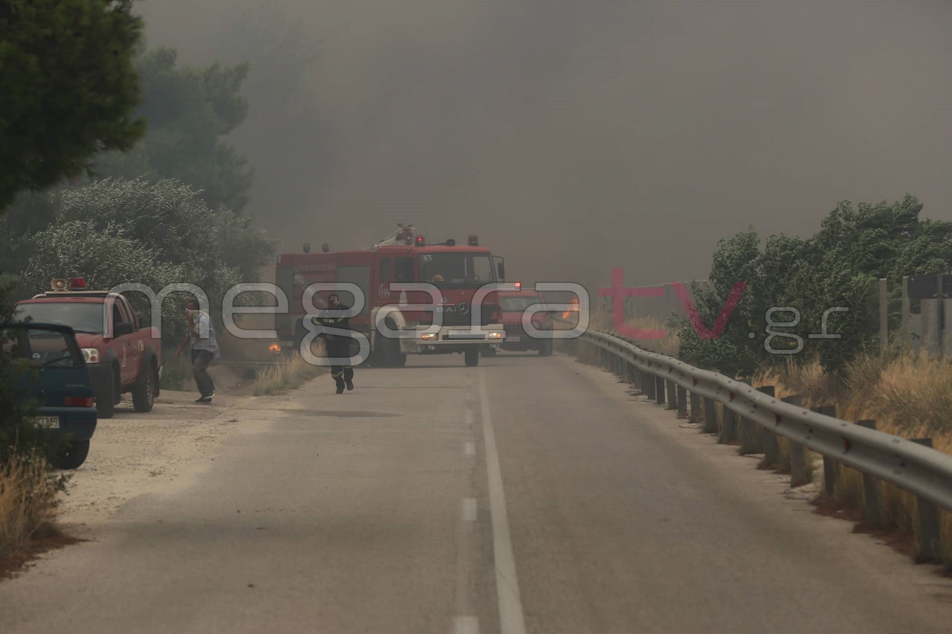 φωτιά πυρκαγιά Κινέττα Γεράνεια