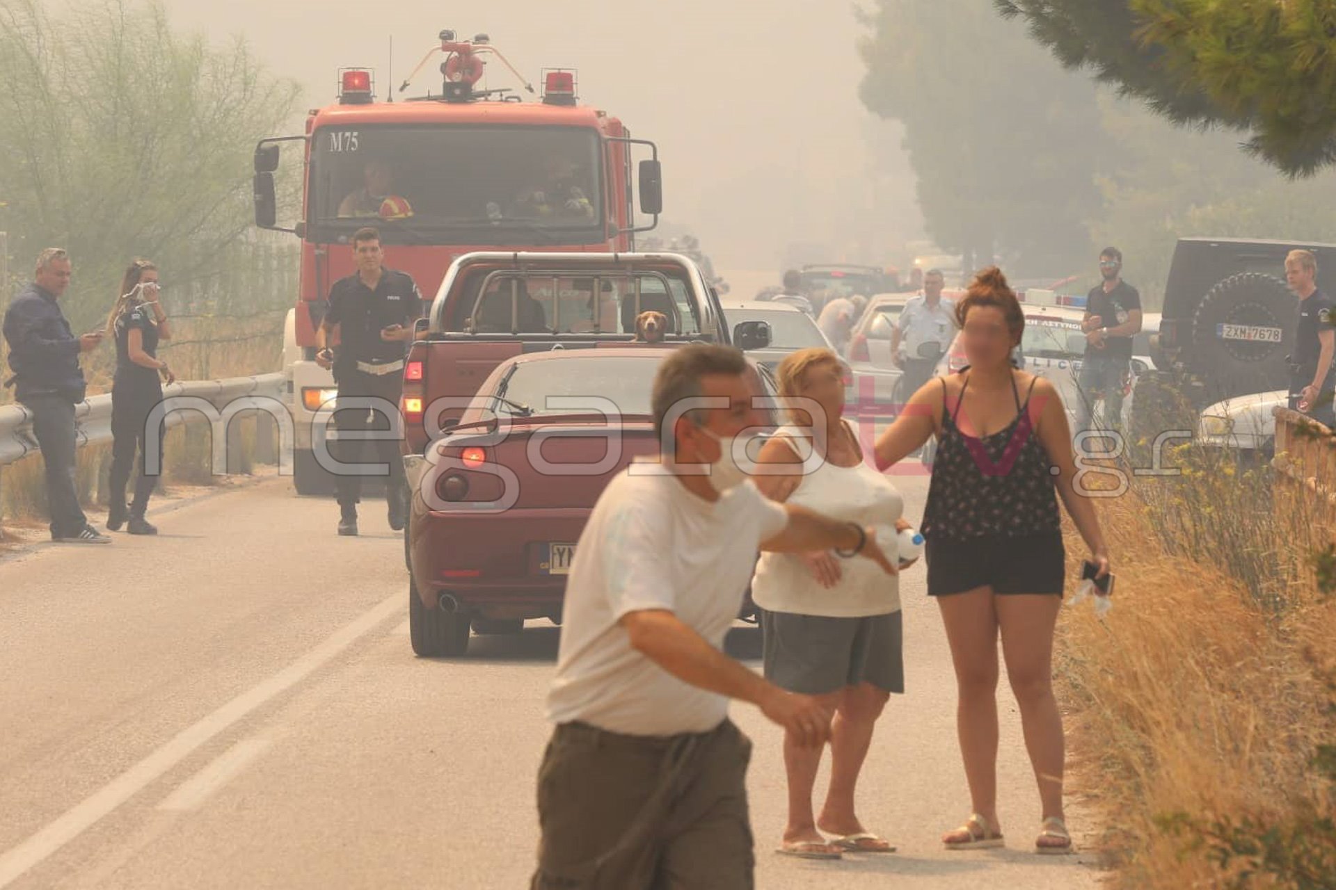 φωτιά πυρκαγιά Κινέττα Γεράνεια