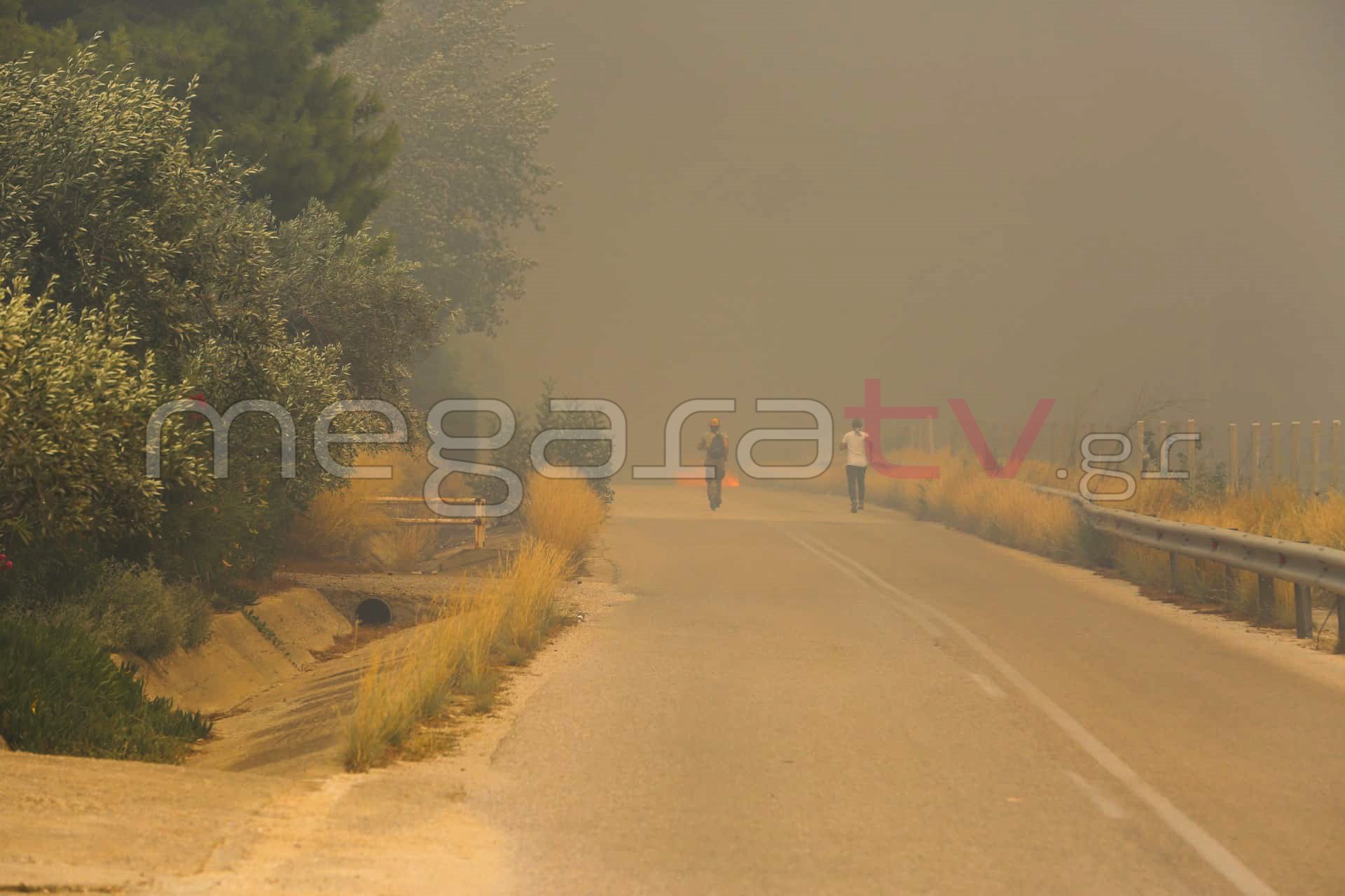 φωτιά πυρκαγιά Κινέττα Γεράνεια