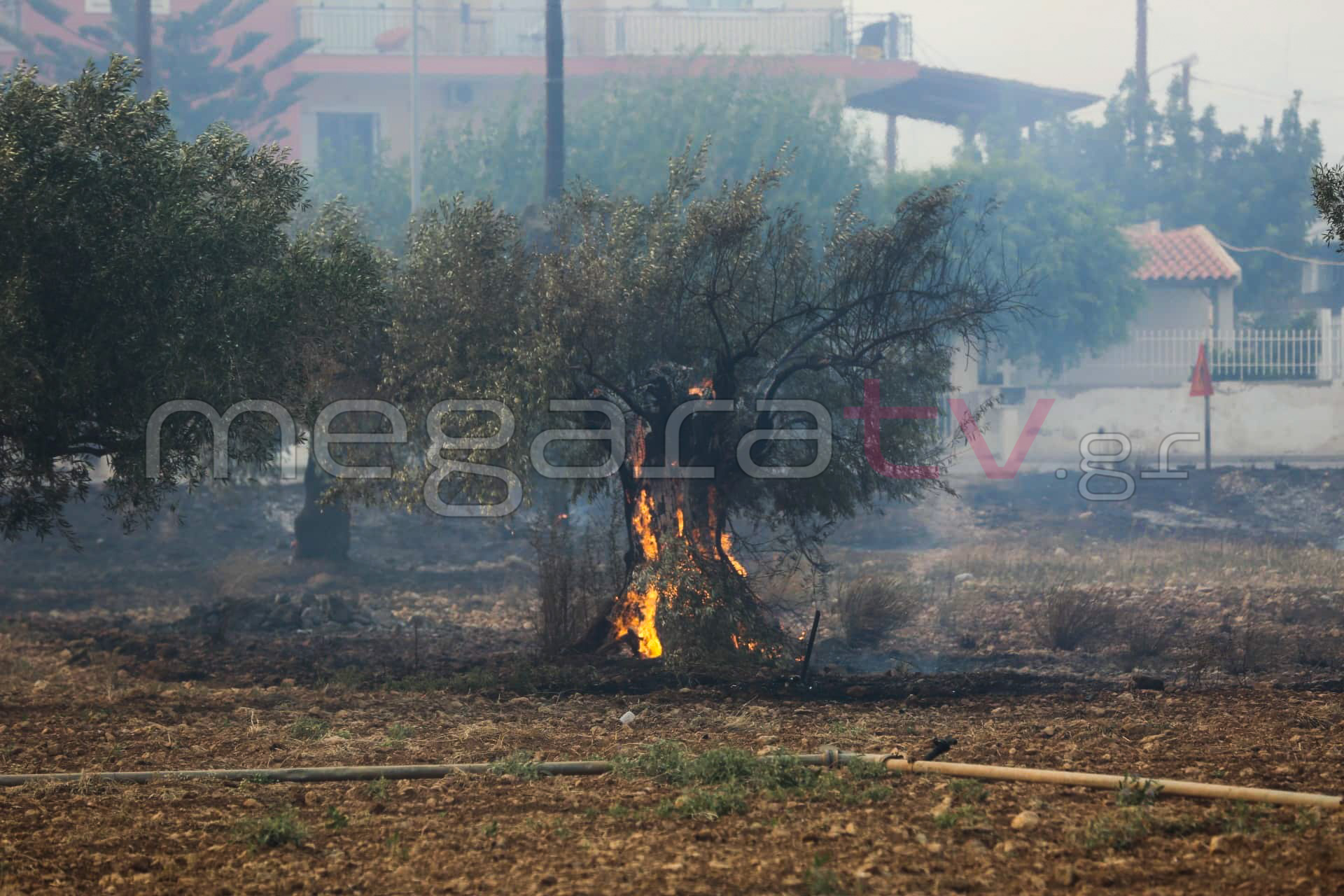 φωτιά πυρκαγιά Κινέττα Γεράνεια