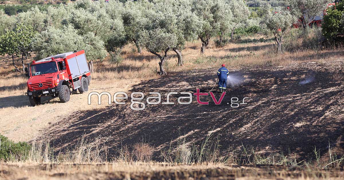 πυρκαγιά Χανι Μεγάρων