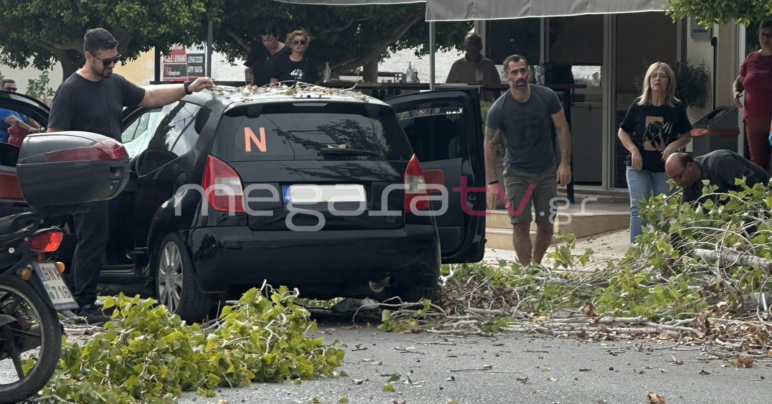 Κλαδί δέντρου σε διερχόμενο όχημα